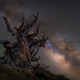 Illustration for article titled Some of the Most Spectacular Astronomy Images of 2018
